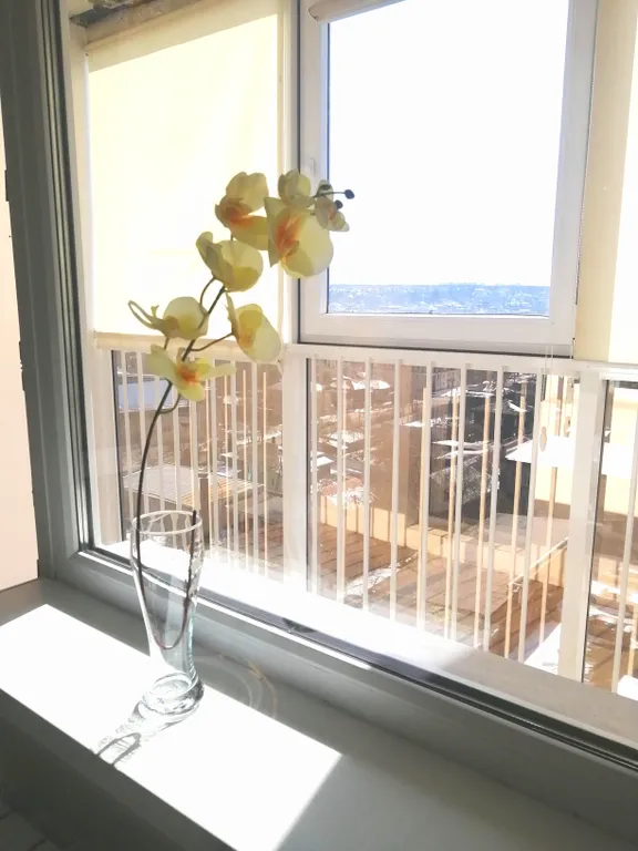 Студия в центре