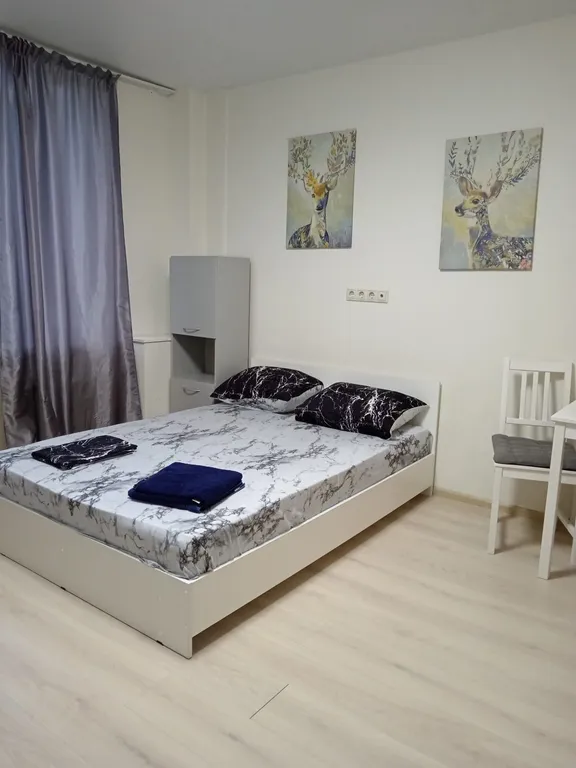 Квартира Уютная студия — аренда посуточно в Московский