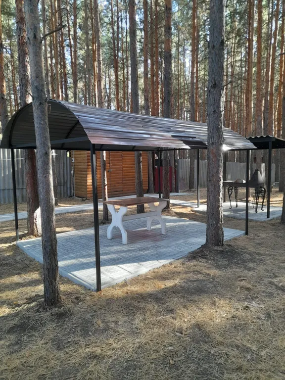 Дом в сосновом лесу