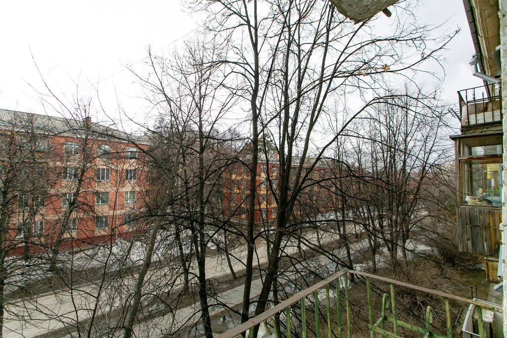 Квартира Уютная квартира в Академгородке — Новосибирск