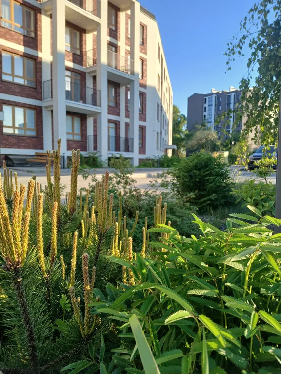 Квартира в Пионерском