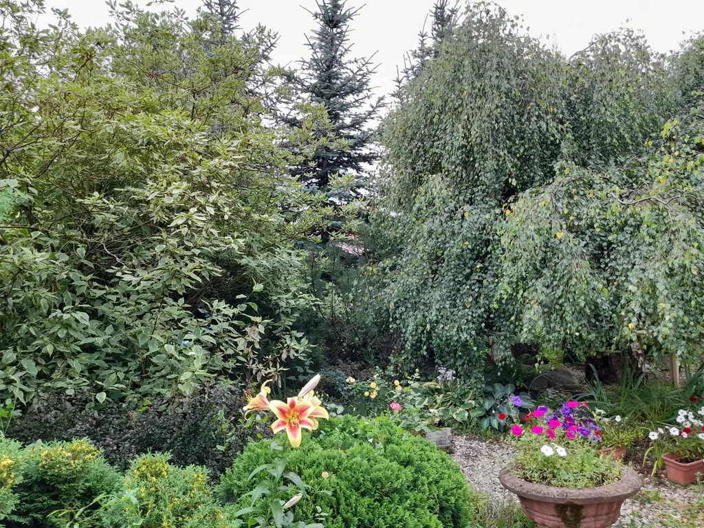 Дом с баней