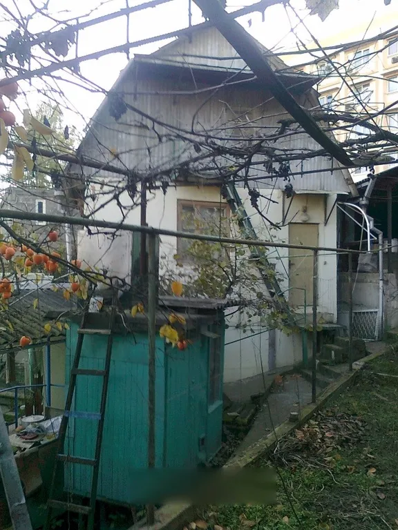 Квартира Уютная комната для семейной пары с детьми со всеми удобствами — Сочи