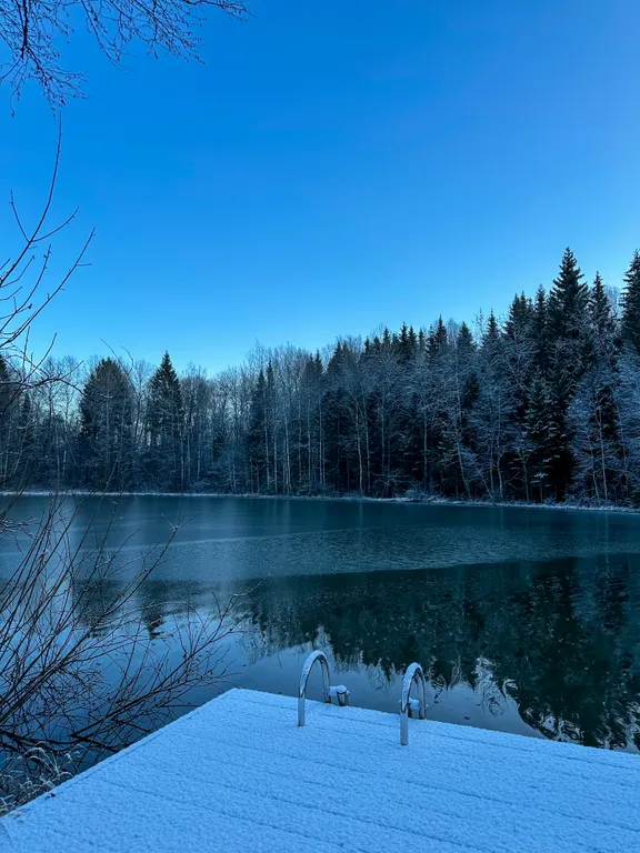 Уютный дом нa бeрегу лесногo озeра