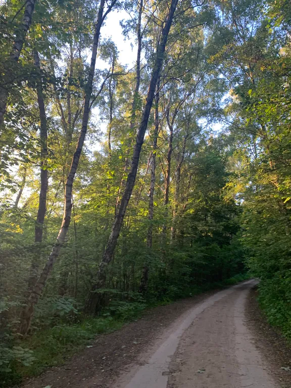 2-х комнатный апартамент у моря