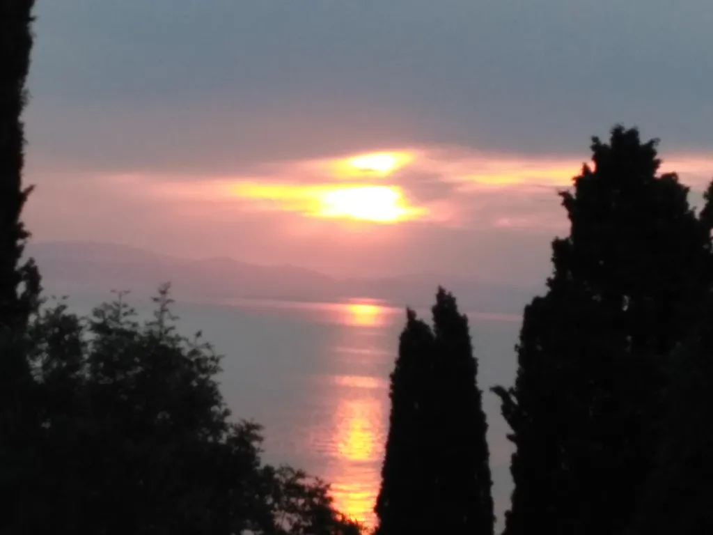 Фламинго