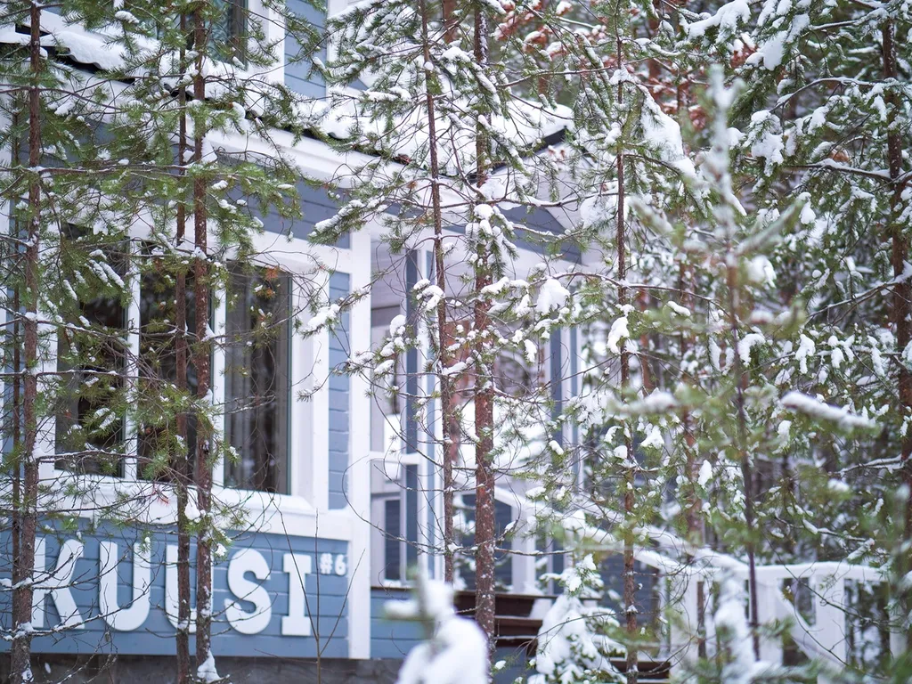 Уютный и просторный коттедж в сосновом бору на берегу озера