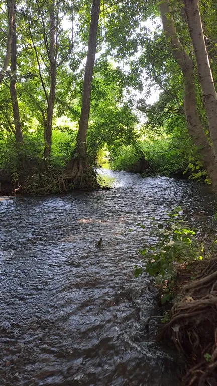 Дом возле моря