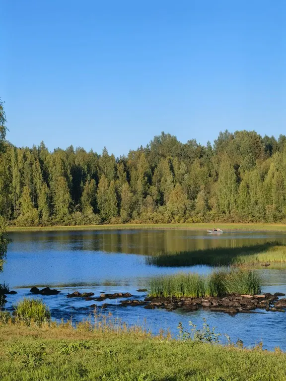 Дом из сруба у воды