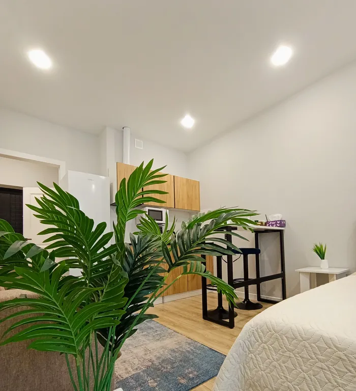 Комфортная студия