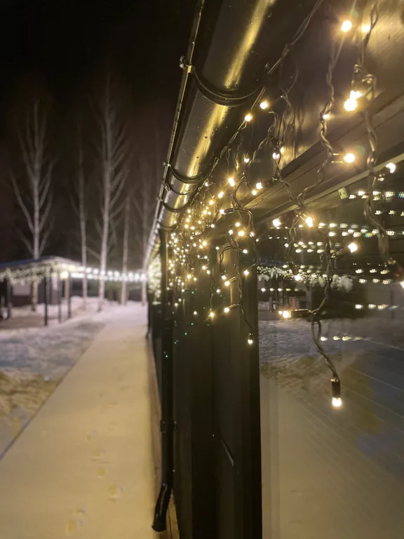 Коттедж Дом с летним бассейном (4 спальни) — Дубна