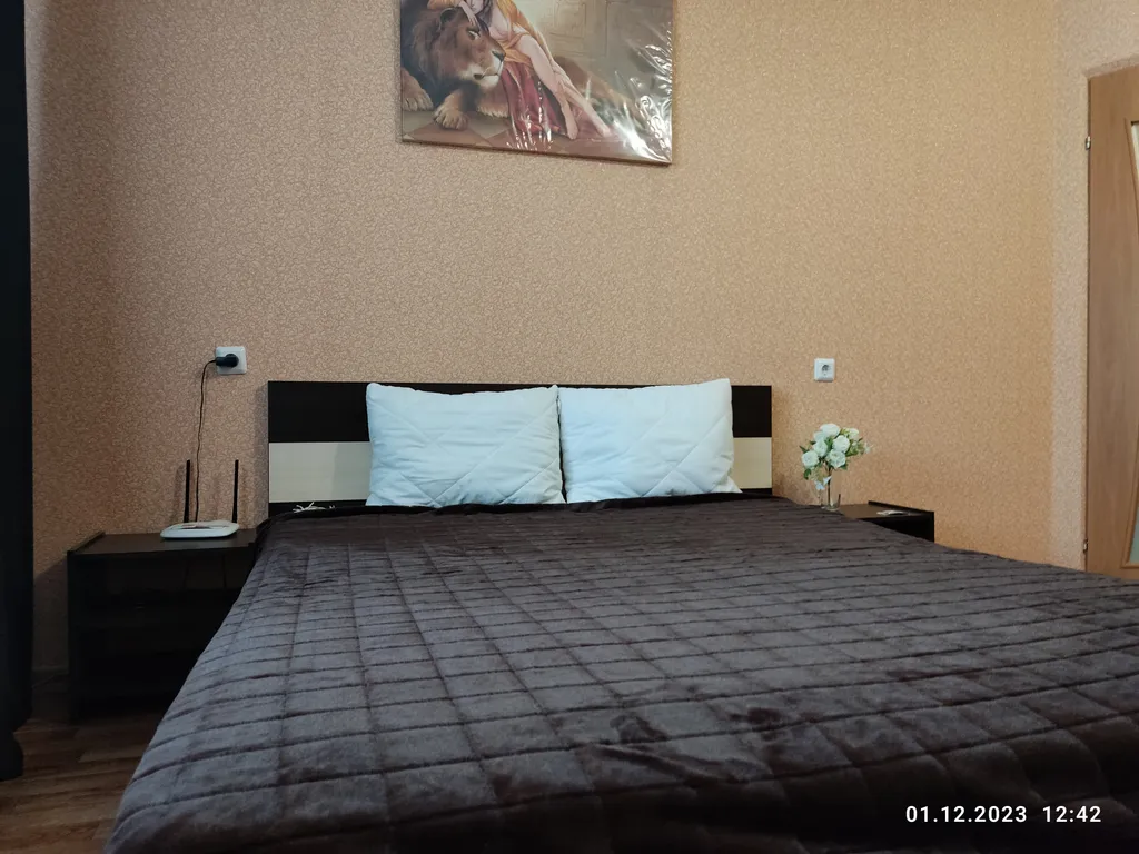 Апартаменты в гостях у Лилии