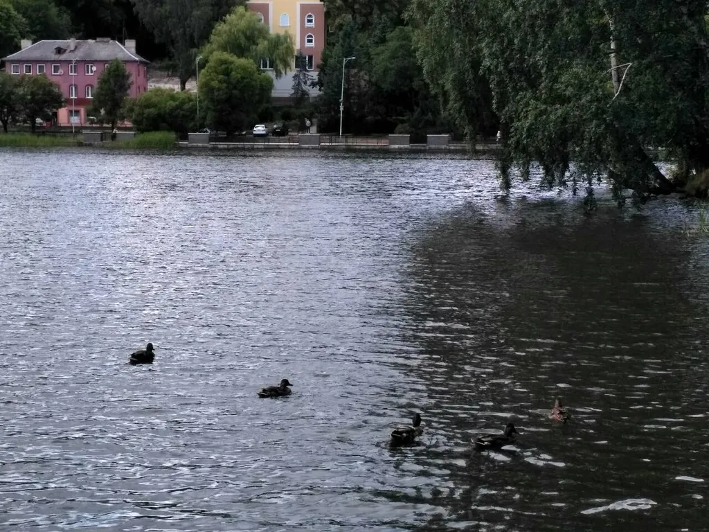 Квартира Апартаменты Комфорт — Светлогорск