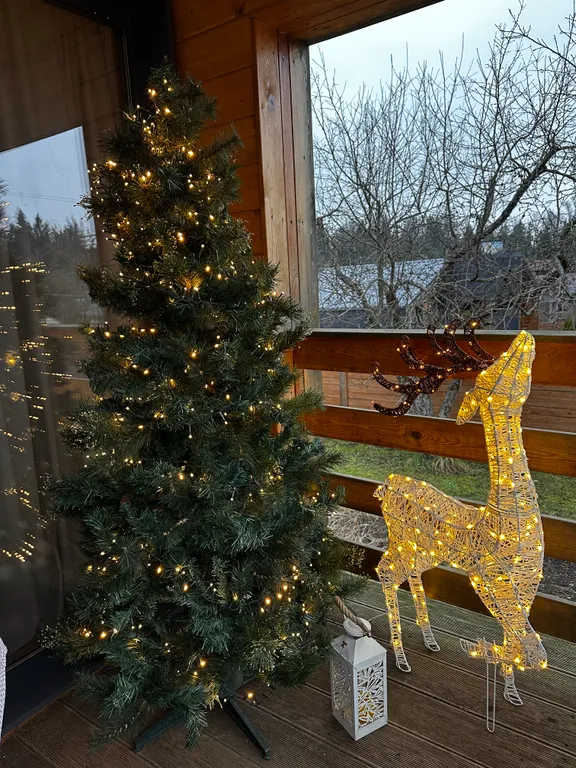 Домик близ Сорочан