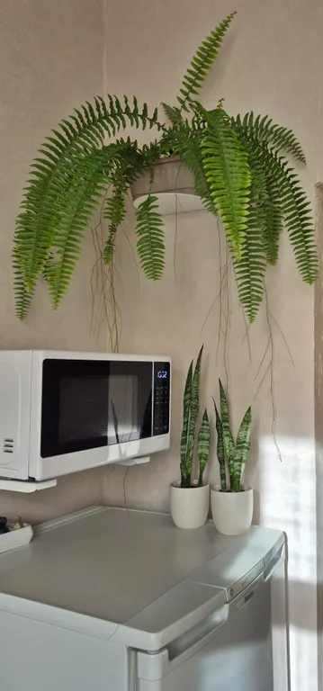 Атмосферная сталинка в центре города