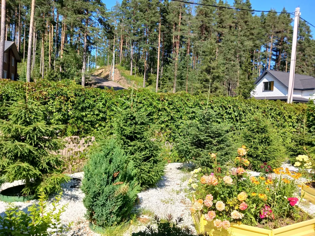 Уютный новый дом в сосновом лесу на берегу Финского залива