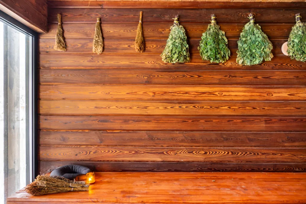 Дом с сауной и купелью