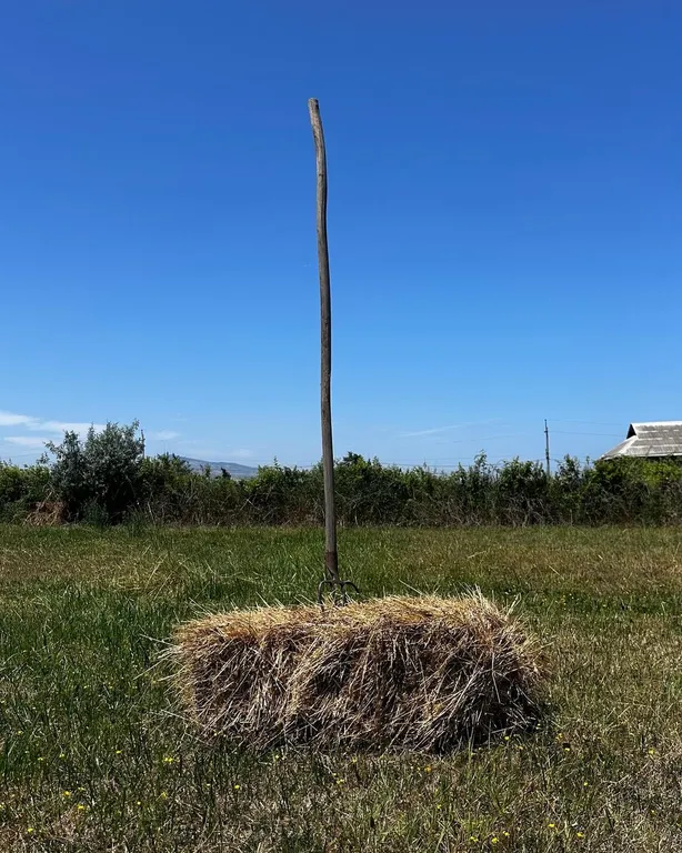 Эко-домики у моря