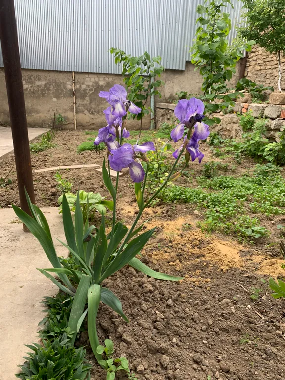 Комната в частном доме с верандой, вход отдельный, свой выход в сад.