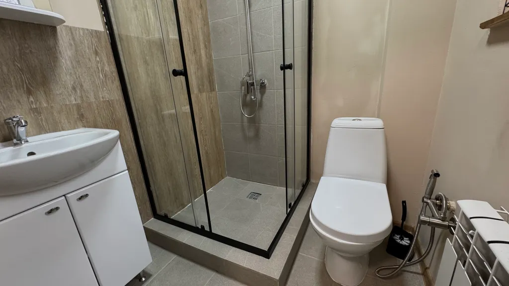 Дом Тихий Бор в березовом лесу