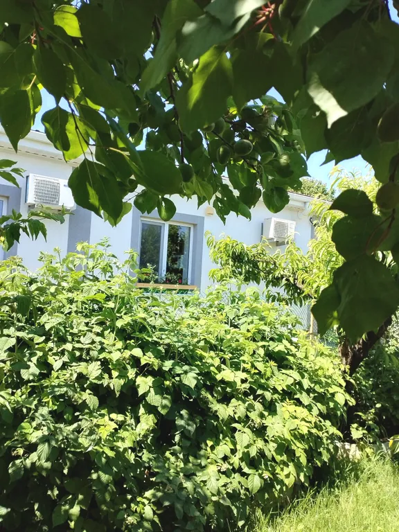 Уютный номер студия в стиле прованс