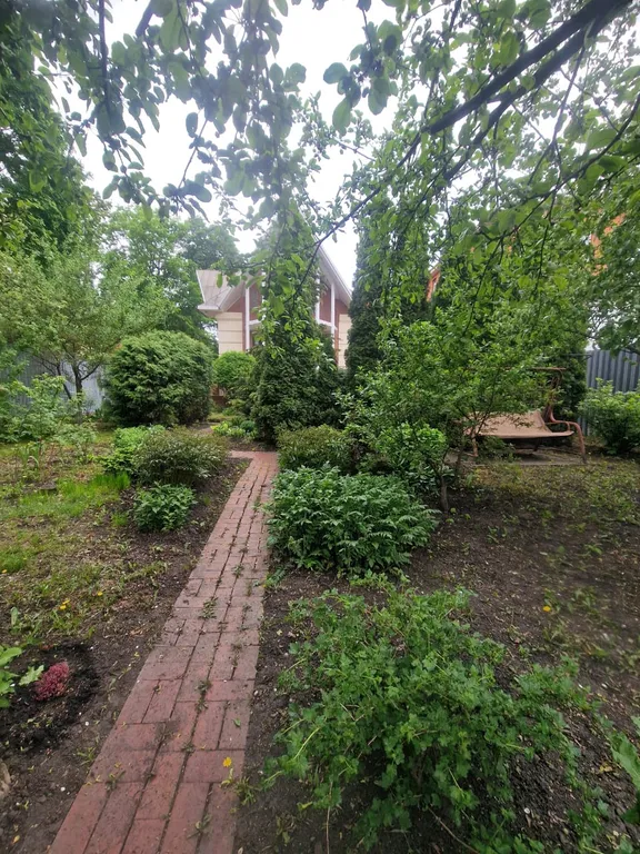 Дом в центре города