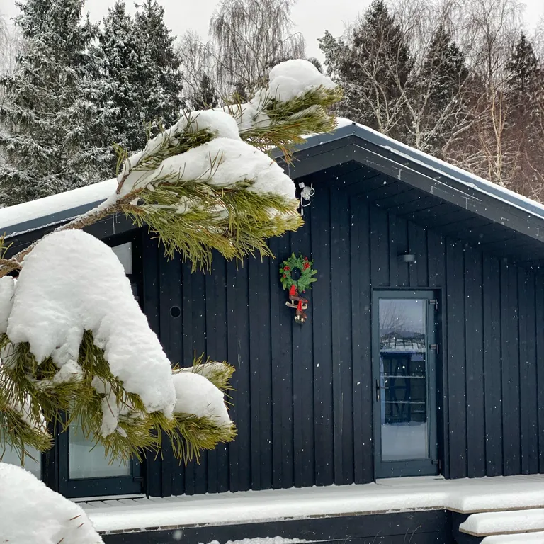 Дача в лесу с панорамными окнами