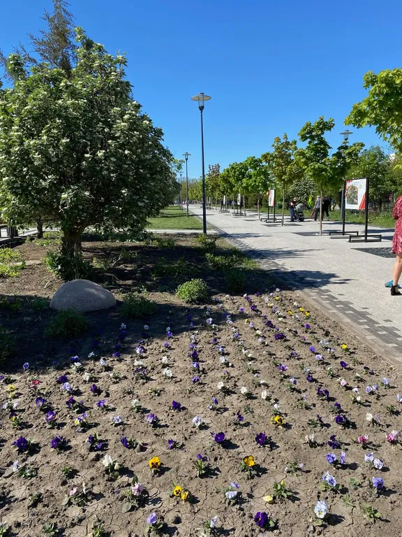 Уютная квартира в лучшем районе города