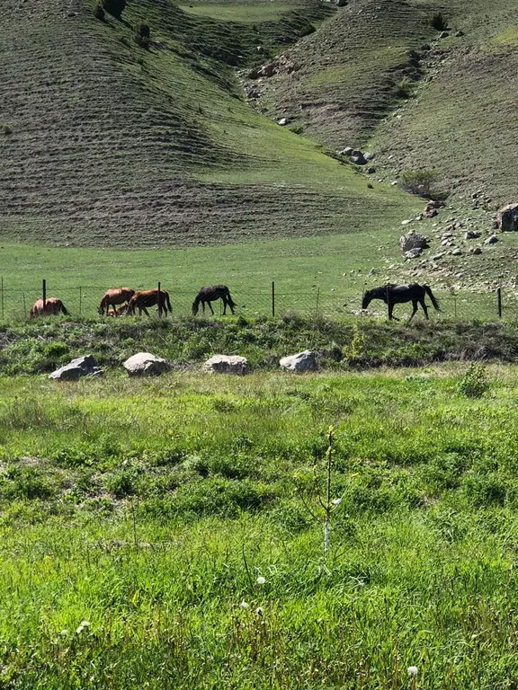 Уютный дом в Верхнем Фиагдоне на берегу горной реки