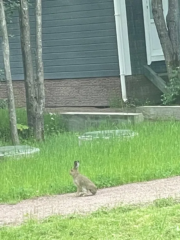 Коттедж на горнолыжном курорте
