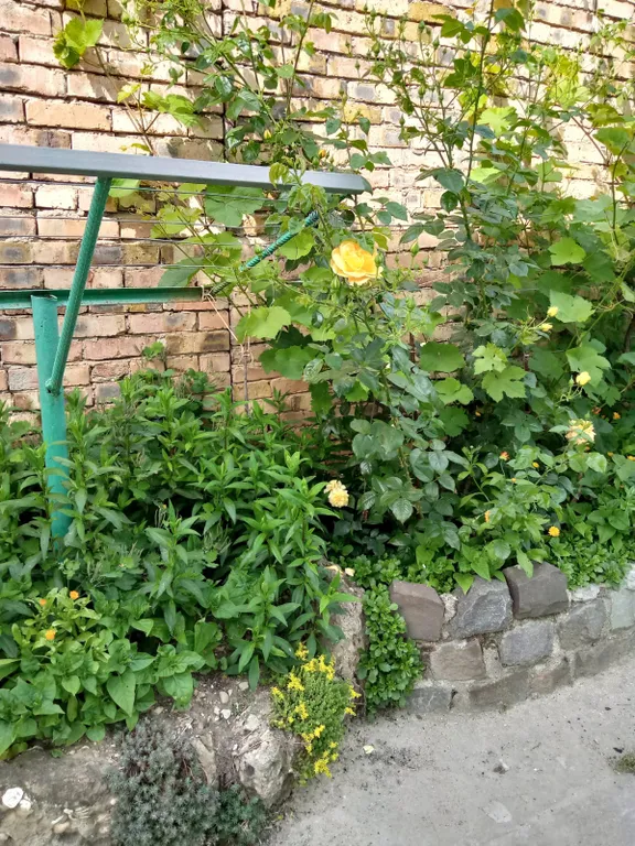 Рады гостям