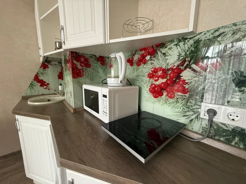 Квартира Уютная квартира-студия с террасой у моря — Светлогорск