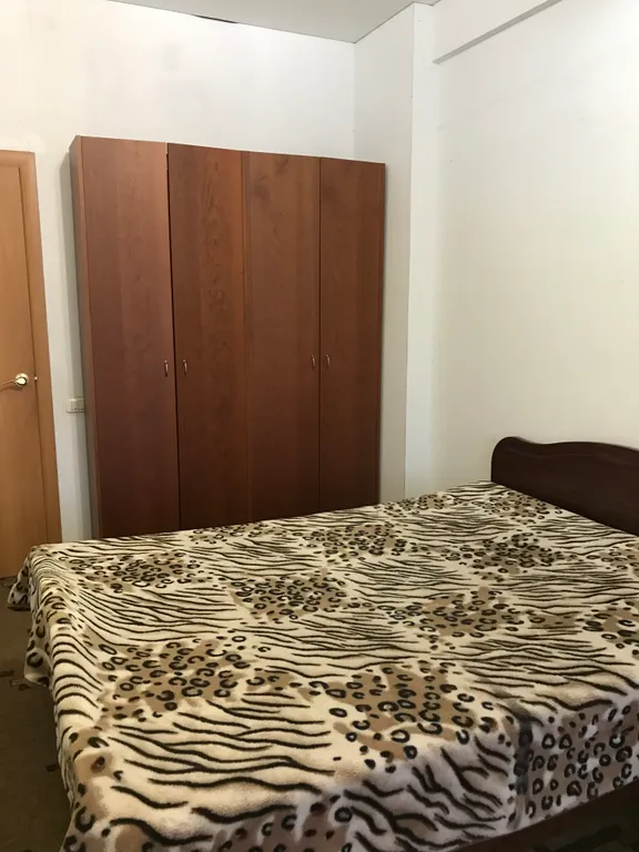 Просторная квартира в центре