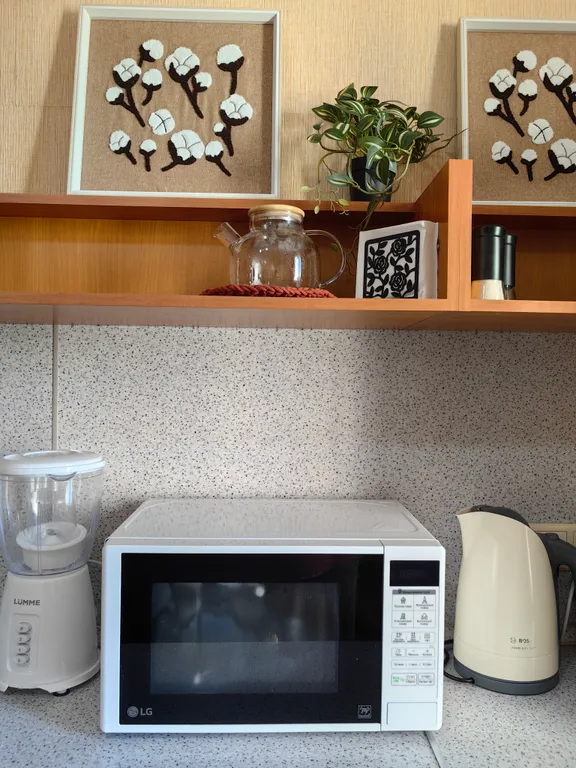 Просторная квартира у ЖД Вокзала, трёхкомнатная