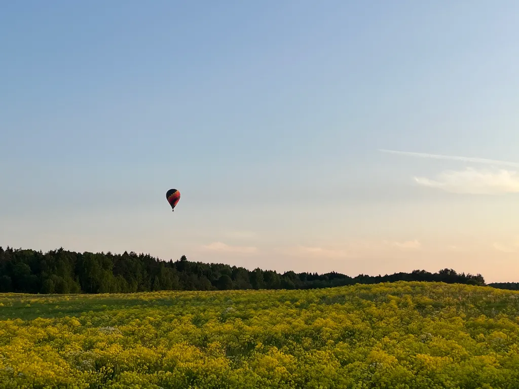 Модолицы хаус