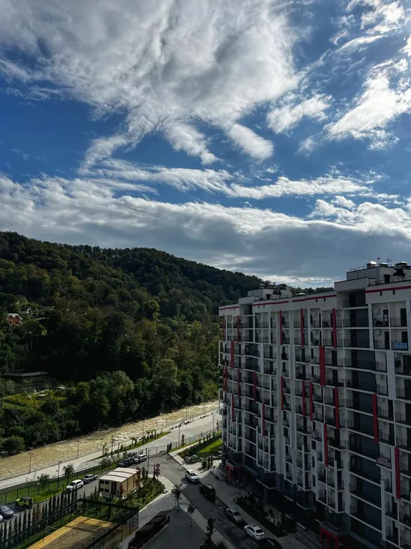 Студия с видом на парк