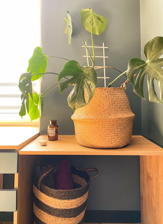 Стильные апартаменты