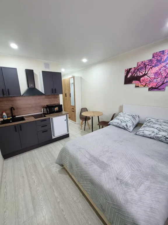 Комфортная студия