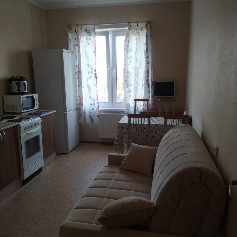 Просторная однокомнатная квартира.