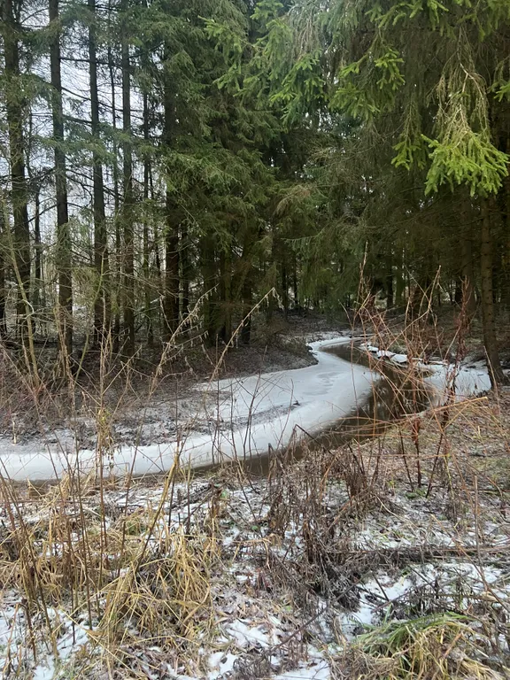 Уютный новый дом шале