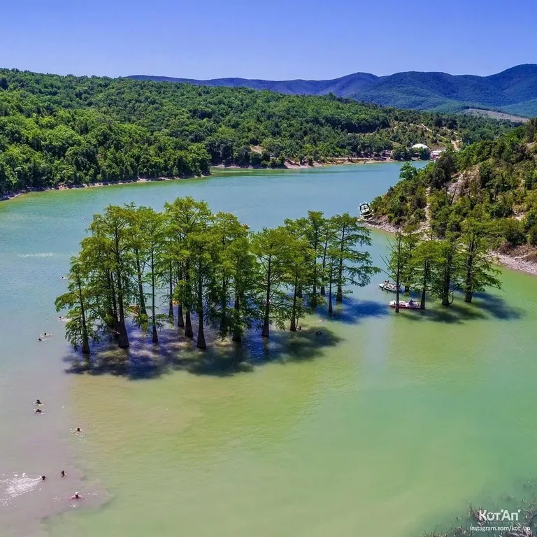 Студия  с бассейном