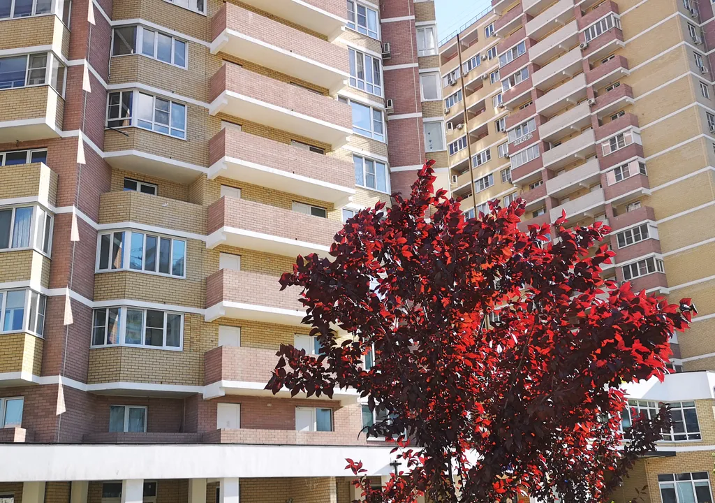 Квартира Однокомнатная квартира InSilence — Краснодар