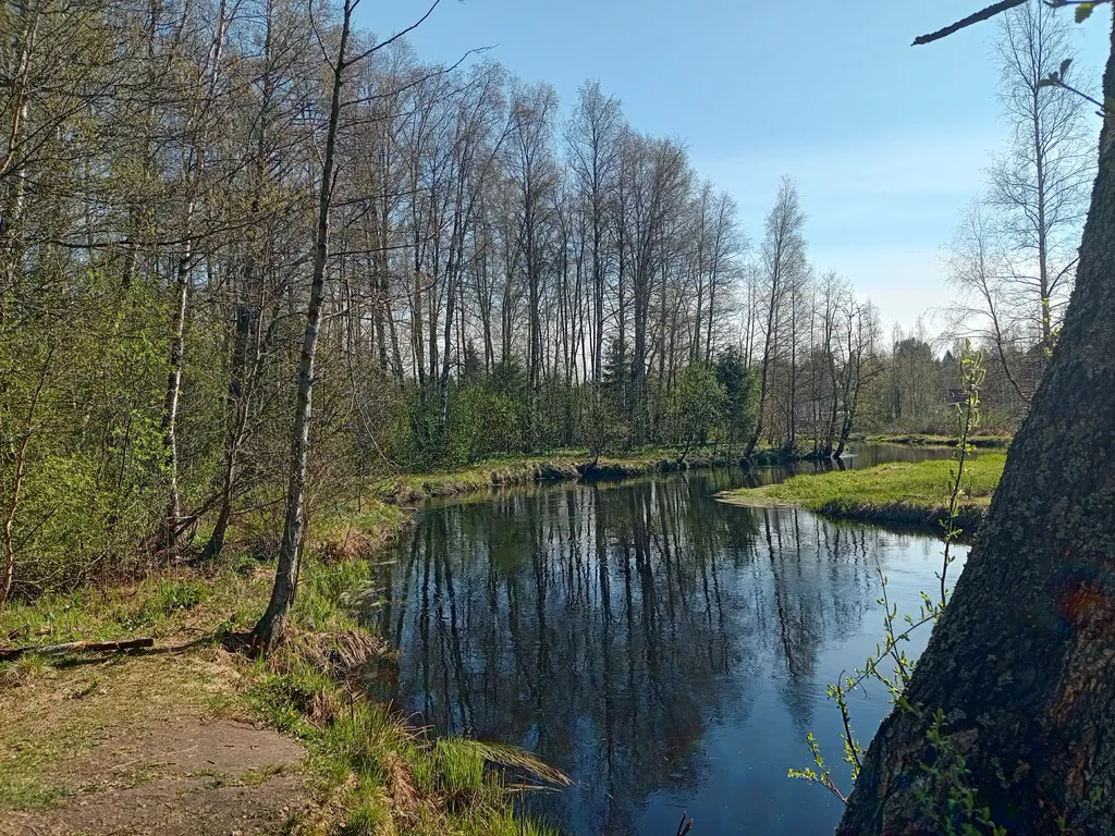 Дом с бесплатной баней на 1 линии от реки