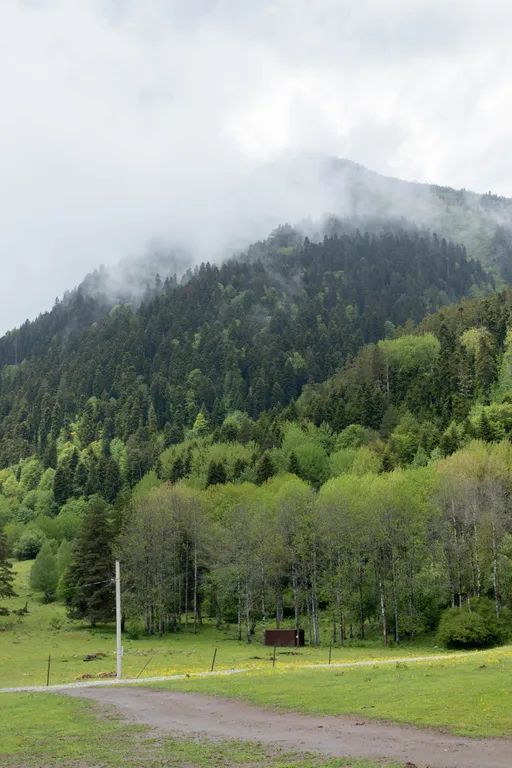 Гостевой дом Артур