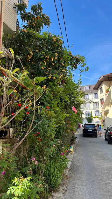 Яркая студия в ЖК Резидент