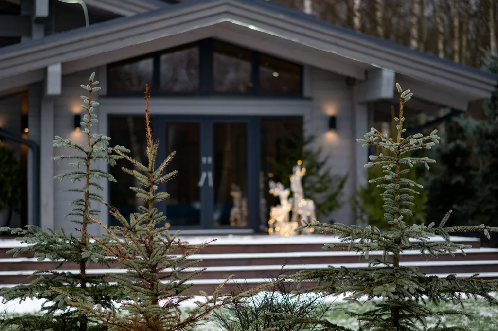 Шале Гнездо с бассейном и сауной