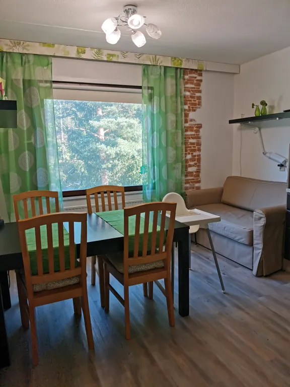 Scandinavian City Apartment