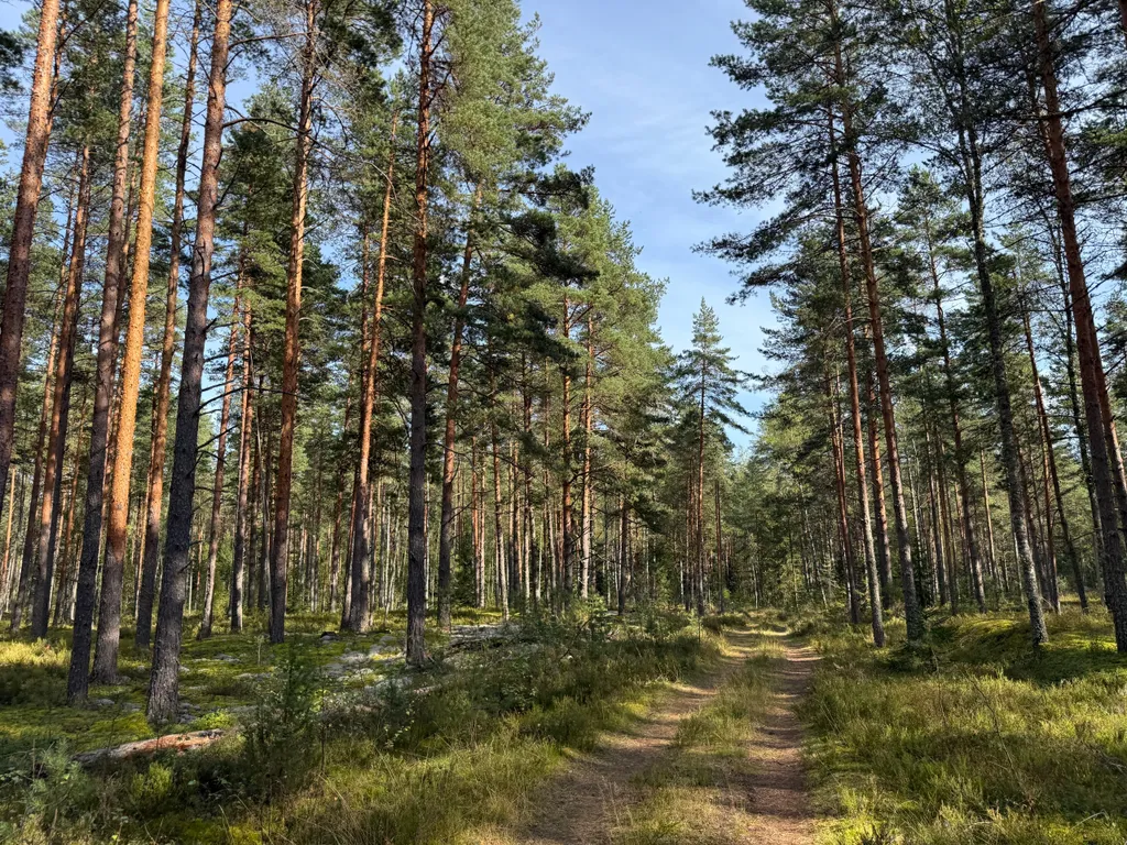 Терем "Русская былина"