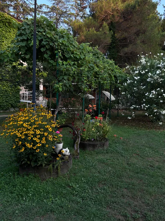 Уютные семейные апартаменты на берегу моря