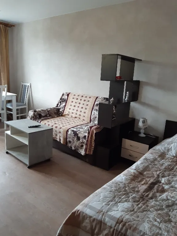 1-комнатная квартира в тихом районе города — аренда посуточно в Сортавала